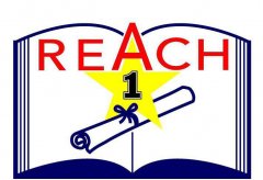 REACH֤Ƕ?